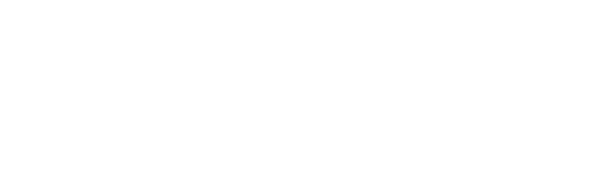 株式会社NLS